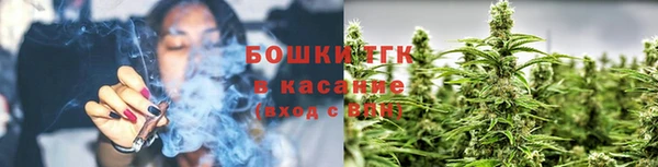 a pvp Аркадак