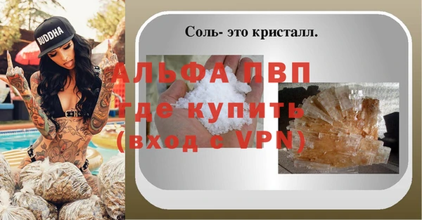 a pvp Аркадак